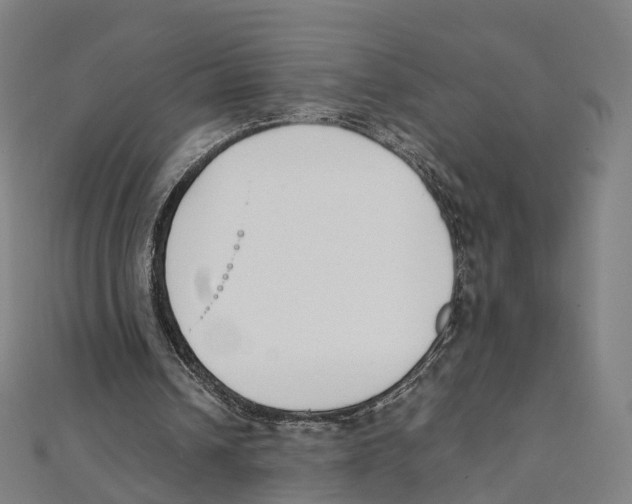 X0000111430242200908101121