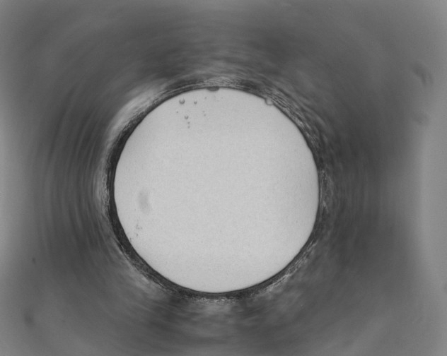 X0000111430245200908101122