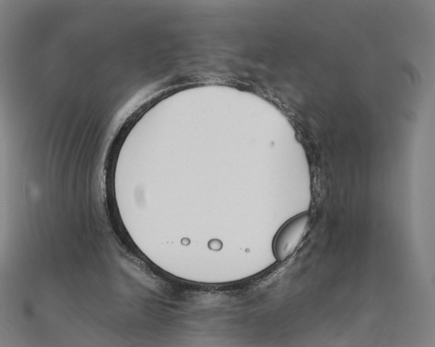 X0000111430246200908101122