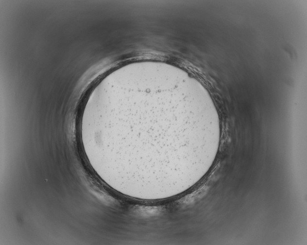 X0000111430247200908101122