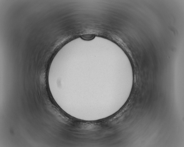 X0000111430249200908101122