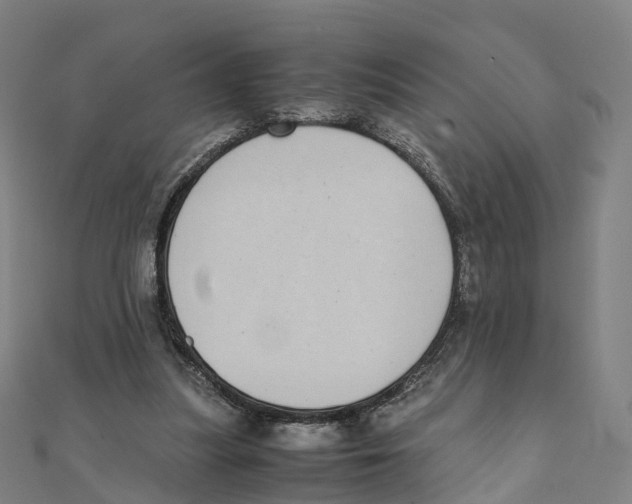 X0000111430251200908101122