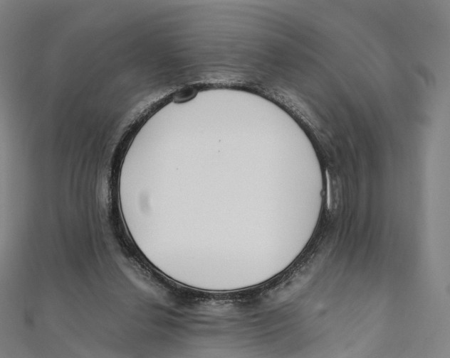 X0000111430252200908101122