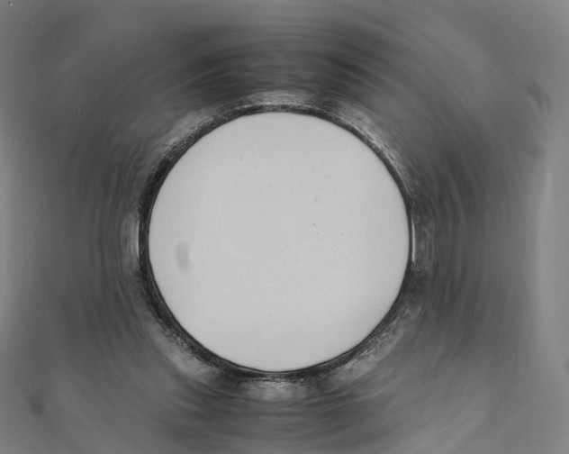 X0000111430253200908101122