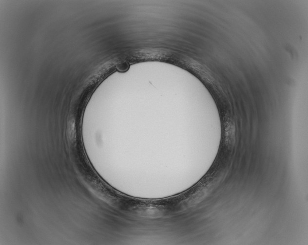 X0000111430254200908101122