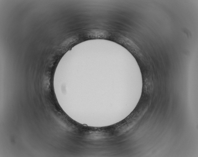 X0000111430259200908101122