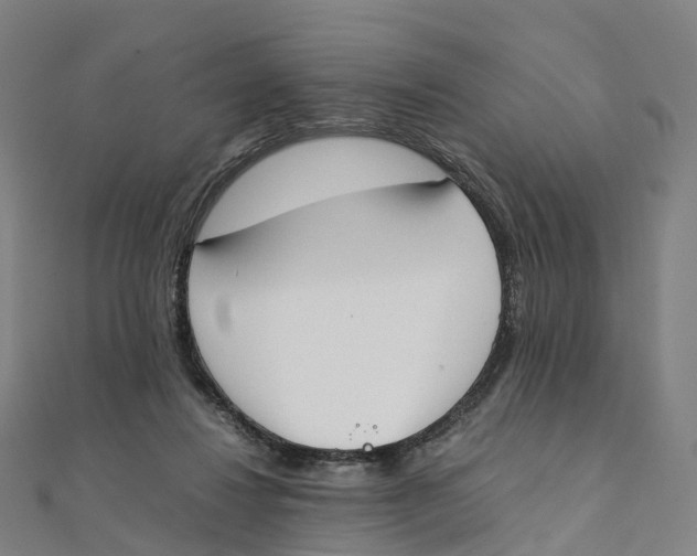 X0000111430260200908101122