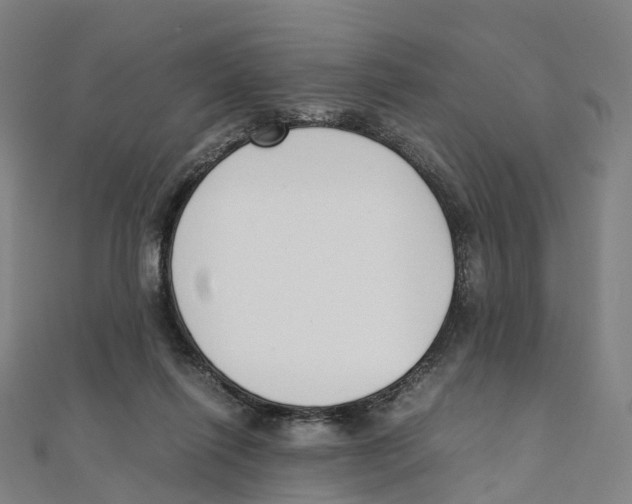 X0000111430262200908101122