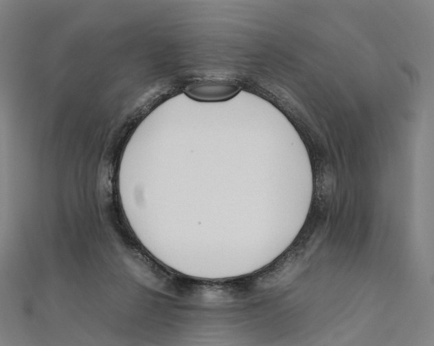 X0000111430264200908101122