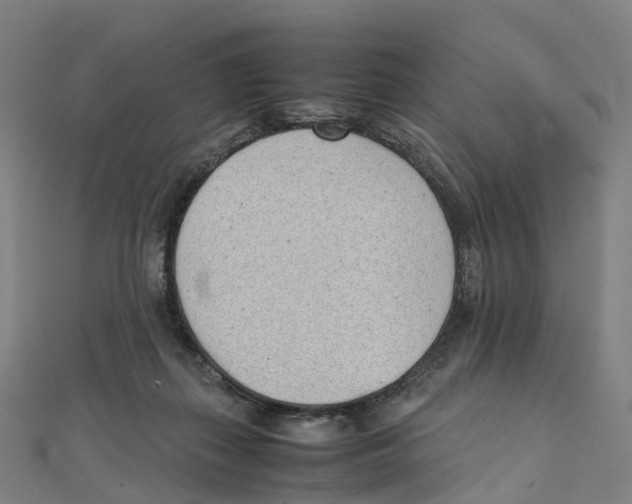 X0000111430267200908101122