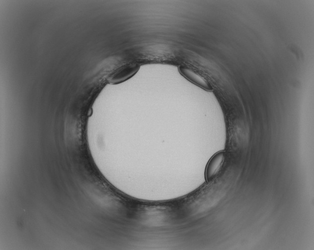 X0000111430268200908101122
