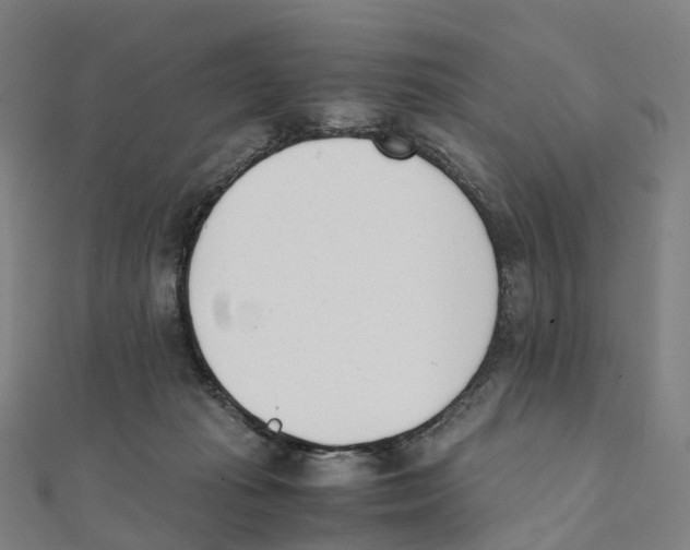 X0000111430269200908101122