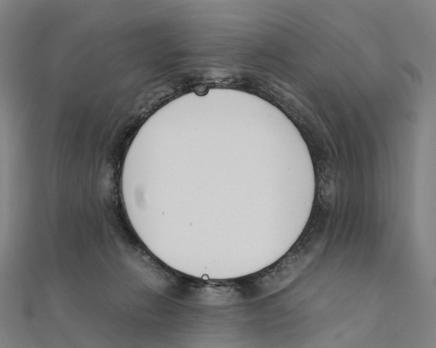 X0000111430270200908101122