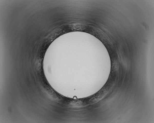 X0000111430271200908101122