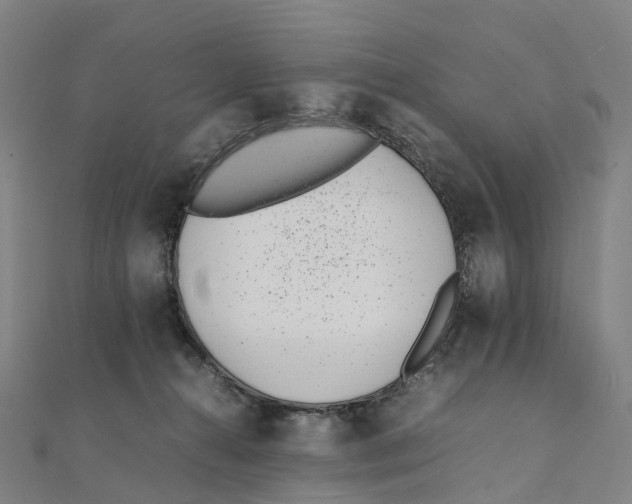 X0000111430272200908101122