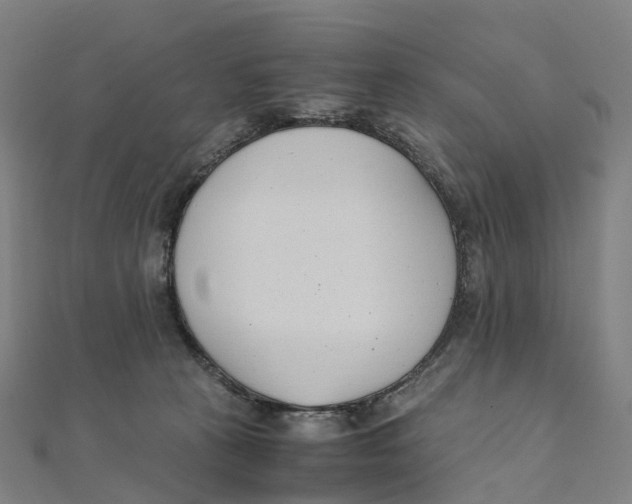 X0000111430273200908101122