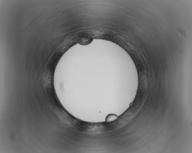 X0000111430274200908101122