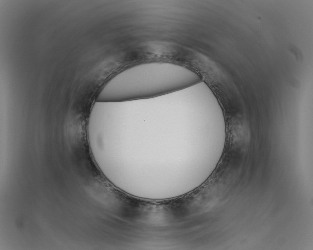 X0000111430276200908101122