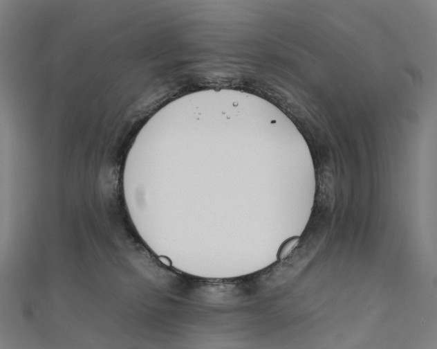 X0000111430278200908101122