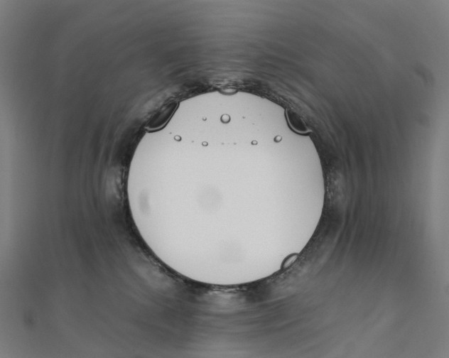 X0000111430280200908101122