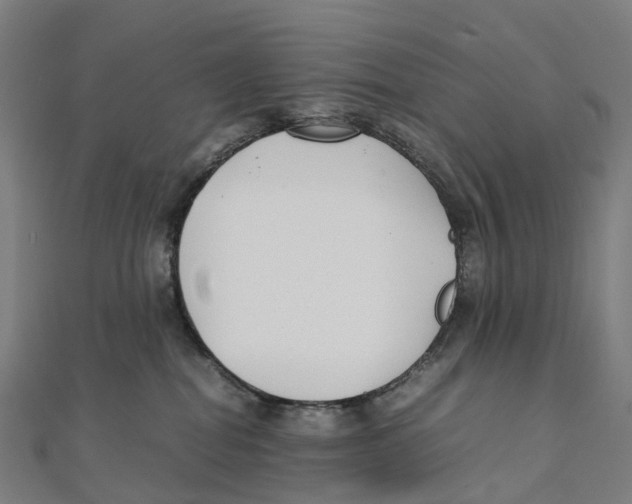 X0000111430282200908101122