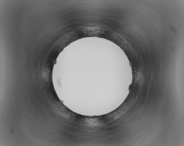 X0000111430283200908101122