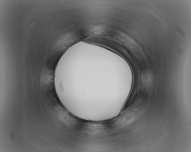X0000111430284200908101122