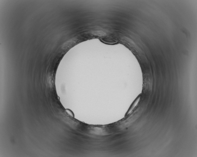 X0000111430285200908101122