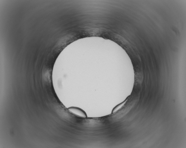 X0000111430286200908101122