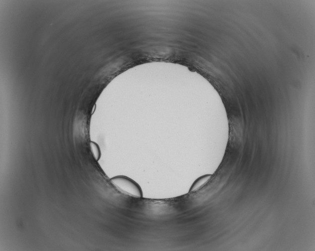 X0000111430287200908101122