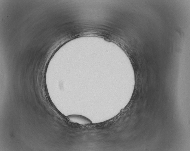 X0000111430289200908101121