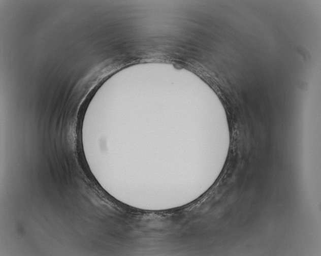X0000111430290200908101121