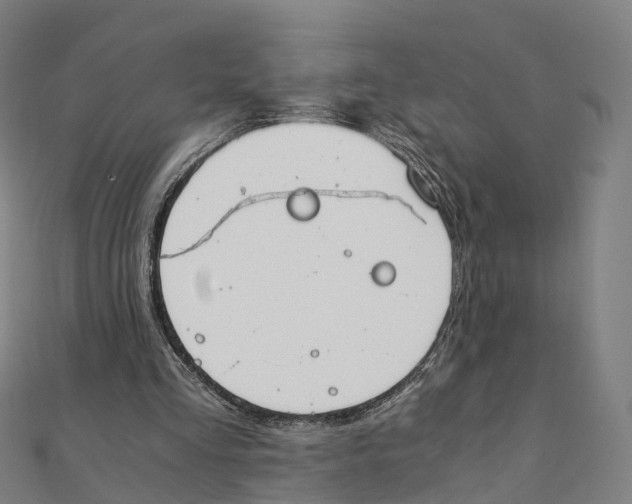 X0000111430293200908101121