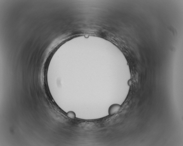 X0000111430294200908101121