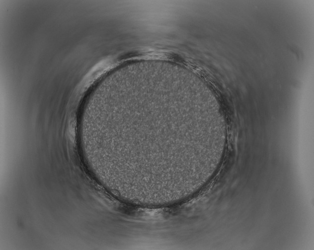 X0000111430295200908101121