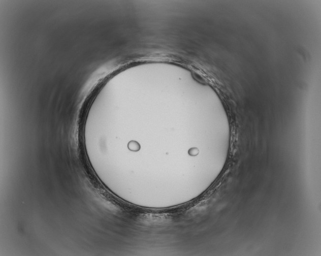 X0000111430296200908101121