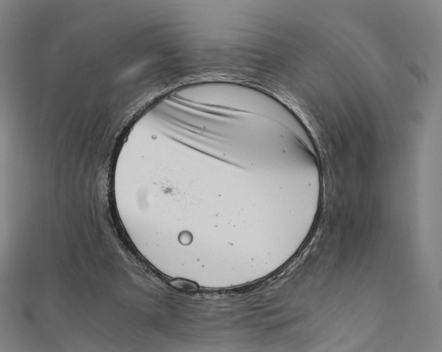 X0000111430297200908101121