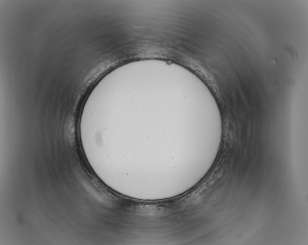 X0000111430298200908101121
