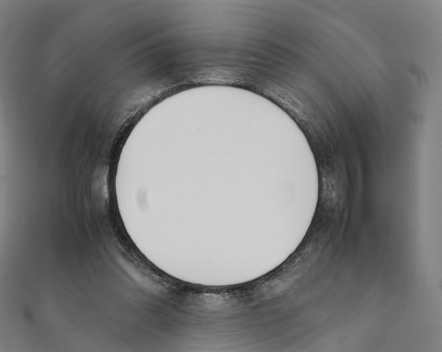 X0000111430302200908101121