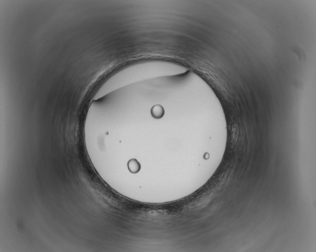 X0000111430304200908101121