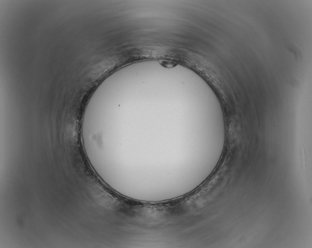 X0000111430305200908101121