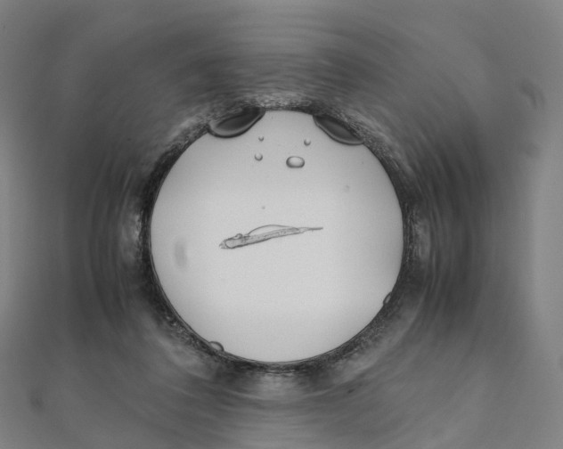 X0000111430308200908101121