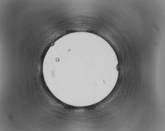 X0000111430309200908101121
