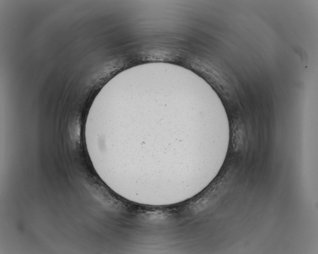 X0000111430310200908101121