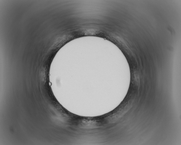 X0000111430311200908101121