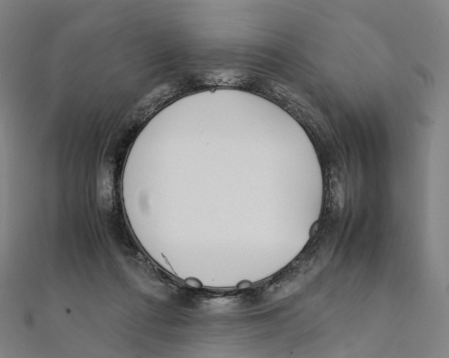 X0000111430312200908101121