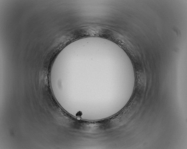 X0000111430313200908101121