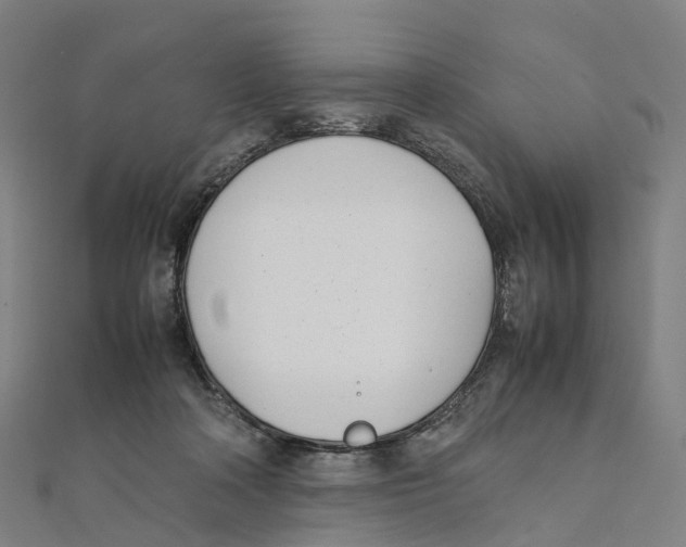 X0000111430314200908101121