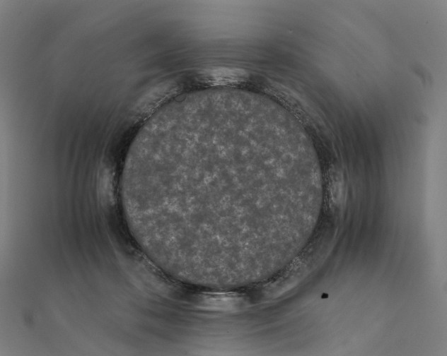 X0000111430316200908101121