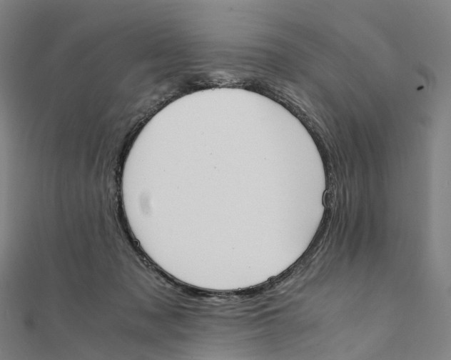 X0000111430317200908101121